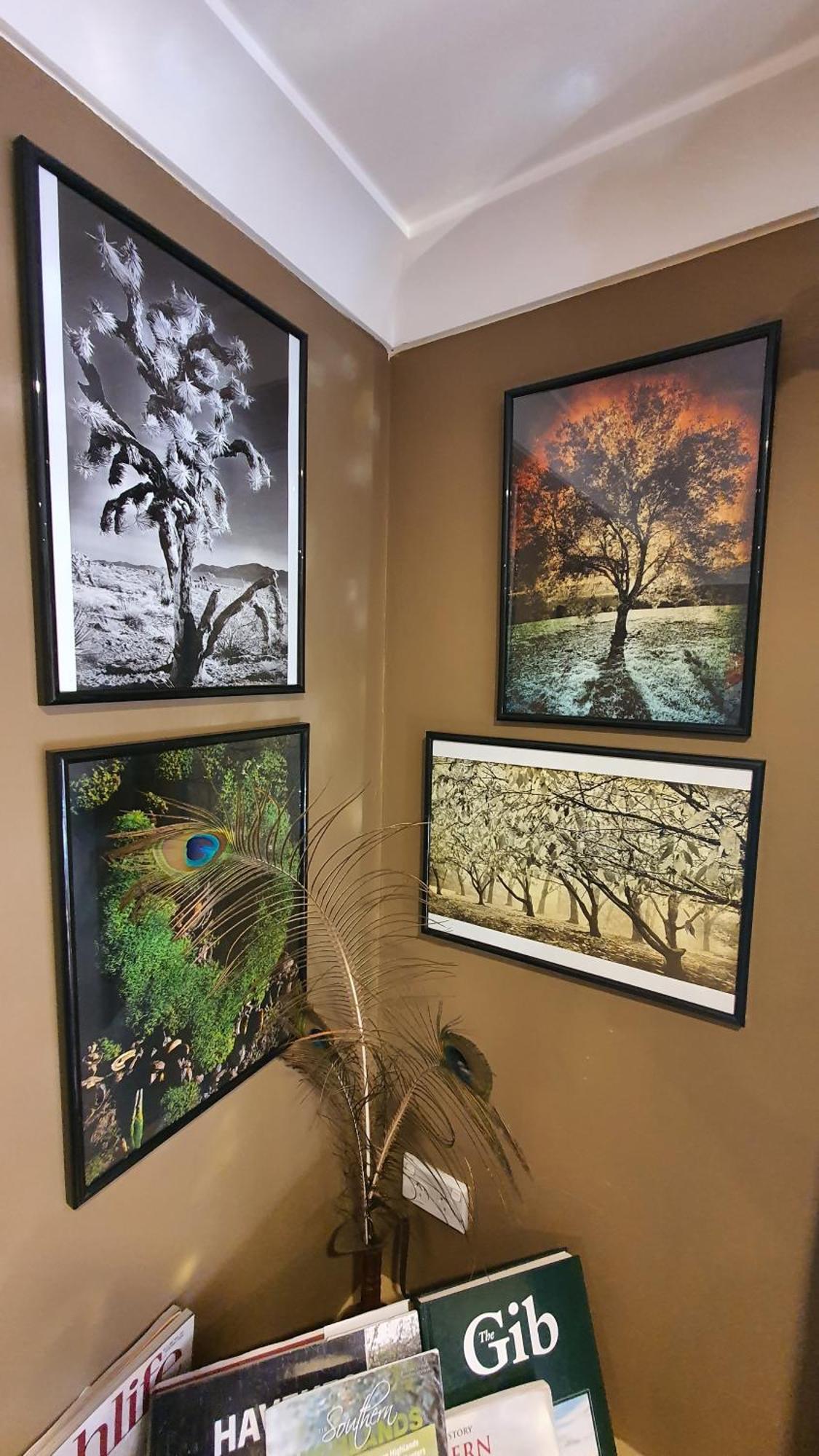 Bowral Road Art Gallery Bed And Breakfast Mittagong Exteriör bild