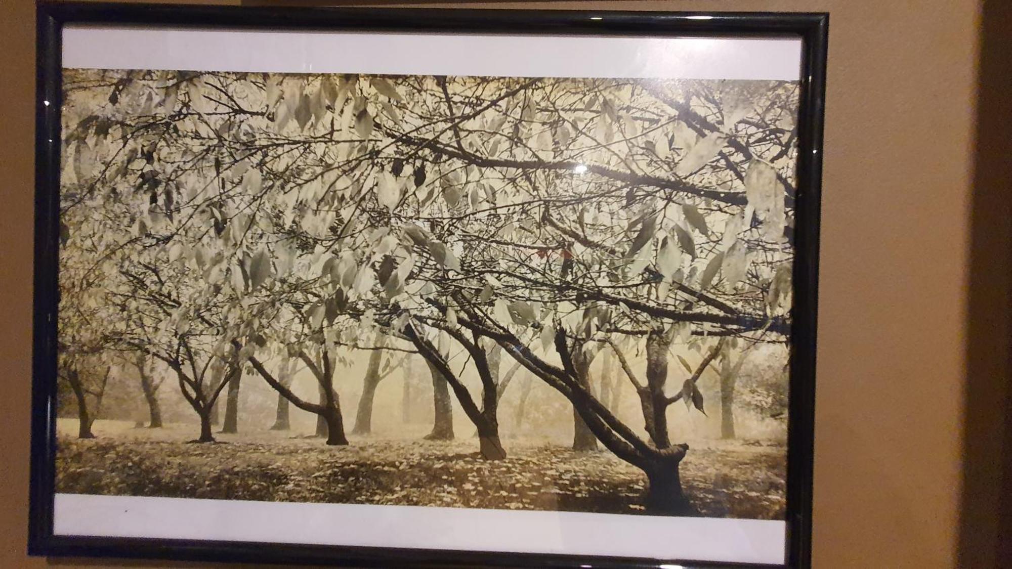 Bowral Road Art Gallery Bed And Breakfast Mittagong Exteriör bild