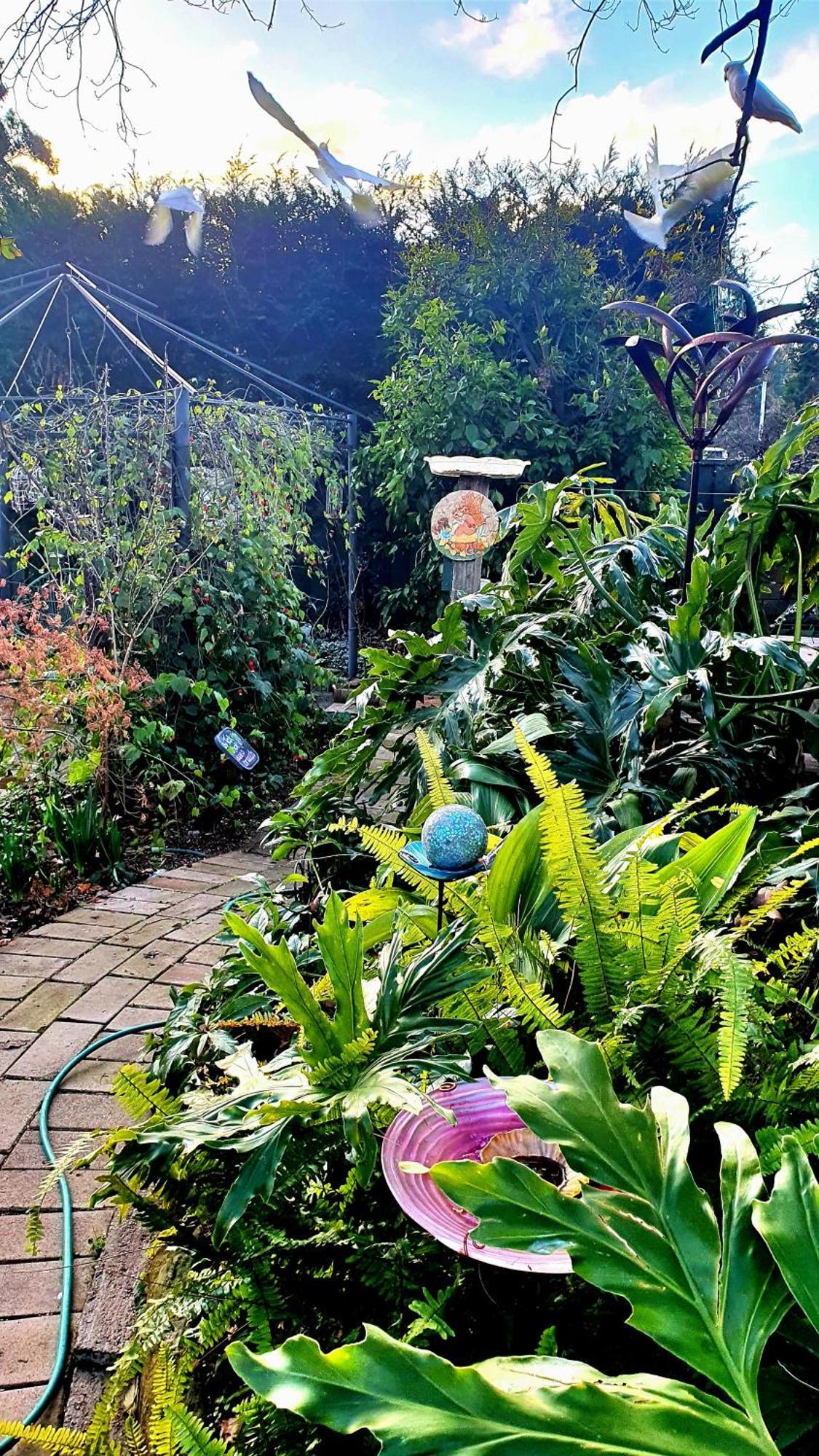 Bowral Road Art Gallery Bed And Breakfast Mittagong Exteriör bild