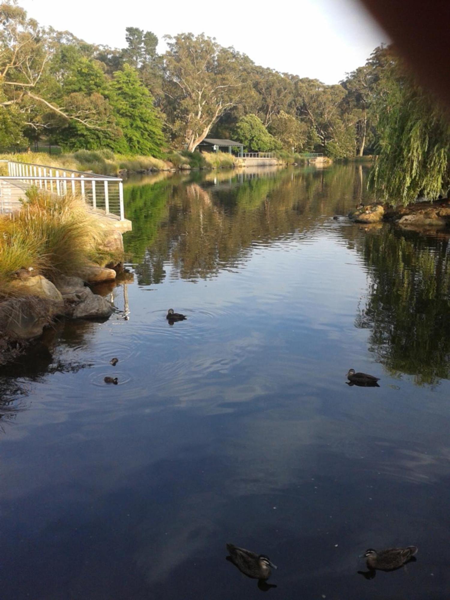 Bowral Road Art Gallery Bed And Breakfast Mittagong Exteriör bild