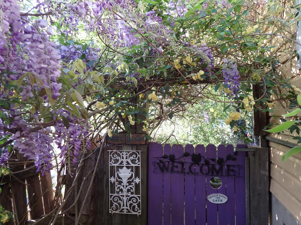 Bowral Road Art Gallery Bed And Breakfast Mittagong Exteriör bild